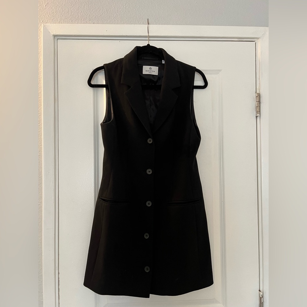 Aritzia Mastermind Dress
